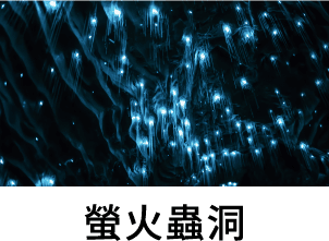 螢火蟲洞